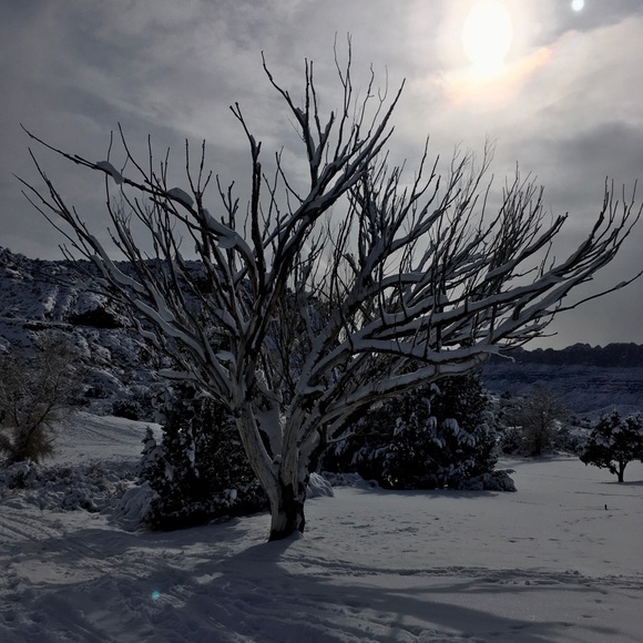 Meet your Posher, Lauren - Picture 1 of 1